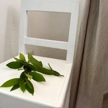 Profumo Di Alloro