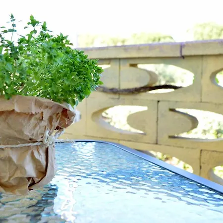 Profumo Di Alloro B&B 트리카세