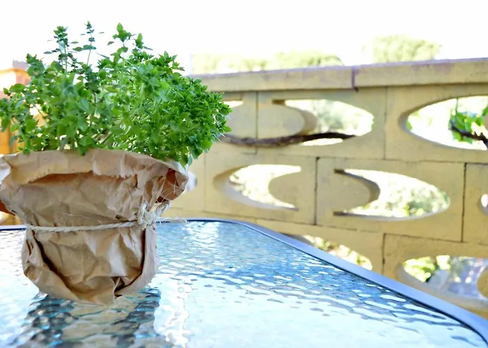 Profumo Di Alloro Bed & Breakfast Tricase